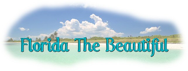 Florida The Beautiful Header created by WooWebDesigns.com