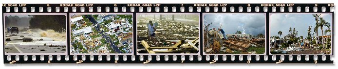 Filmstrip of photos by Suzanne Brawley