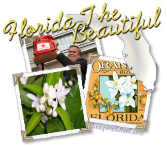 Florida The Beautiful montage of orange blossoms and Jeb Bush by Suzanne Fromtling/Brawley