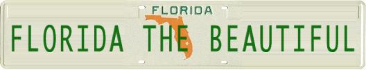 Special Florida The Beautiful license tag for promoting this site to assist the victims of the Florida hurricanes of 2004.